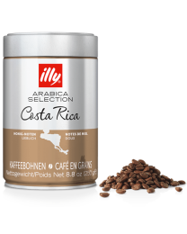 Illy kaffeebohnen Arabica Selection Costa Rica 9980
